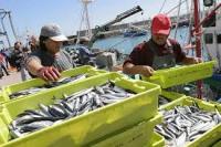El Gobierno de España aprueba el proyecto para reformar la Ley de Pesca marítima