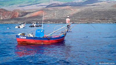 Alcances obtenidos en Reserva Marinas de España entre el sector de pesca artesanal y el buceo recreativo. Marco PESCARES.