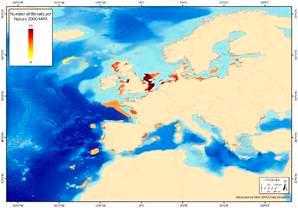 Un nuevo estudio de Oceana revela el alcance de los Parques de Papel en mares de Europa: el 96% permite actividades destructivas dentro de sus límites