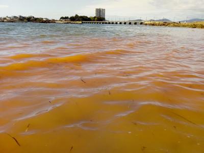Una marea roja tiñó ayer el litoral de la Ría de Vigo
