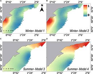 Desarrollan un nuevo modelo para predecir la distribución de la merluza a partir de la temperatura del agua y la localización de sus presas