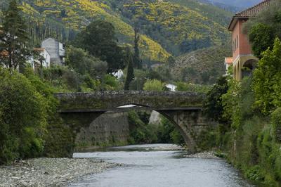 Coimbra (Portugal) escenario del Europeo de Salmónidos Mosca