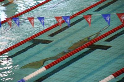 El Club Natación Babel gana el Campeonato de España de natación con aletas