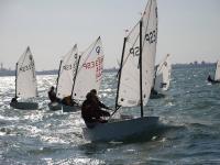 Campeonatos de Andalucía de Optimist por equipos y Catamarán