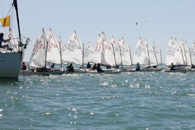 Campeonato de Andalucía de Optimist