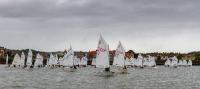 Empieza en aguas del Abra el Trofeo Guadalimar-Say Languages de vela ligera