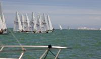 I Jornada de la III Liga Náutica de Laser, celebrada ayer sábado en aguas de la bahía de Cádiz.