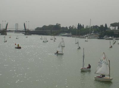  XXXIII Trofeo Club Náutico Sevilla de Optimist