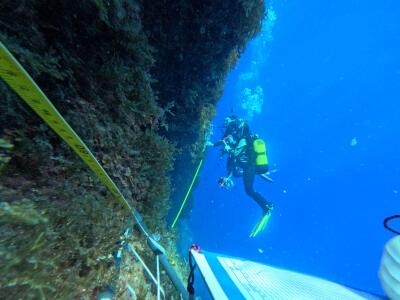 El IEO-CSIC analiza la presencia de especies invasoras en puertos y espacios marinos protegidos del Mediterráneo español