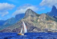 McIntyre Mini Globe Race en solitario: ¡10 000 millas por popa, 18 000 por la proa!